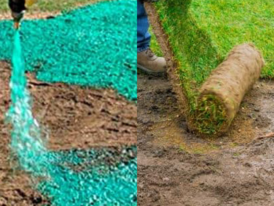 Hydroseeding Vs Sod